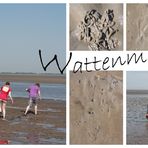 Wattenmeer