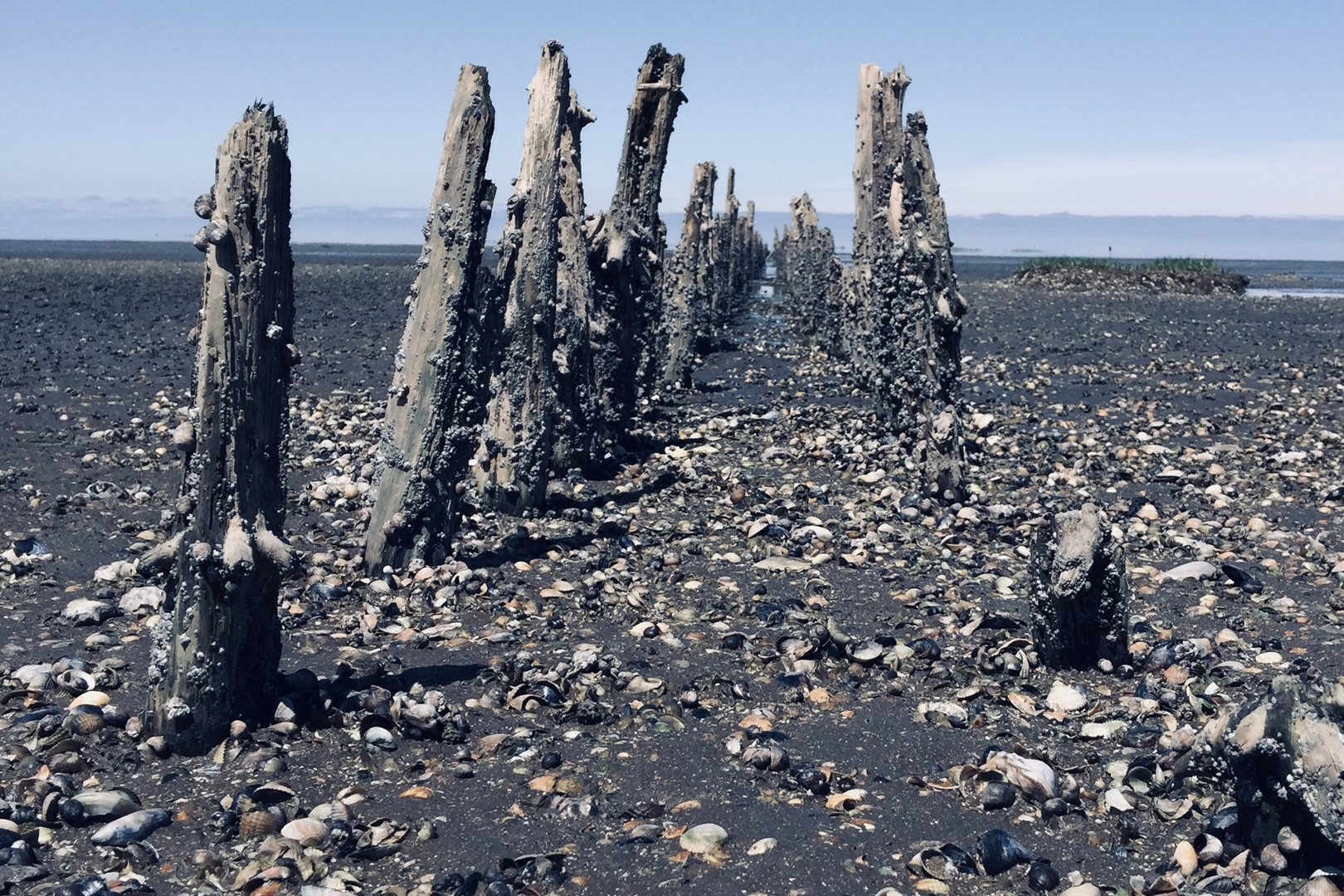 Wattenmeer Harlesiel 