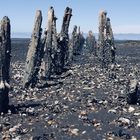 Wattenmeer Harlesiel 