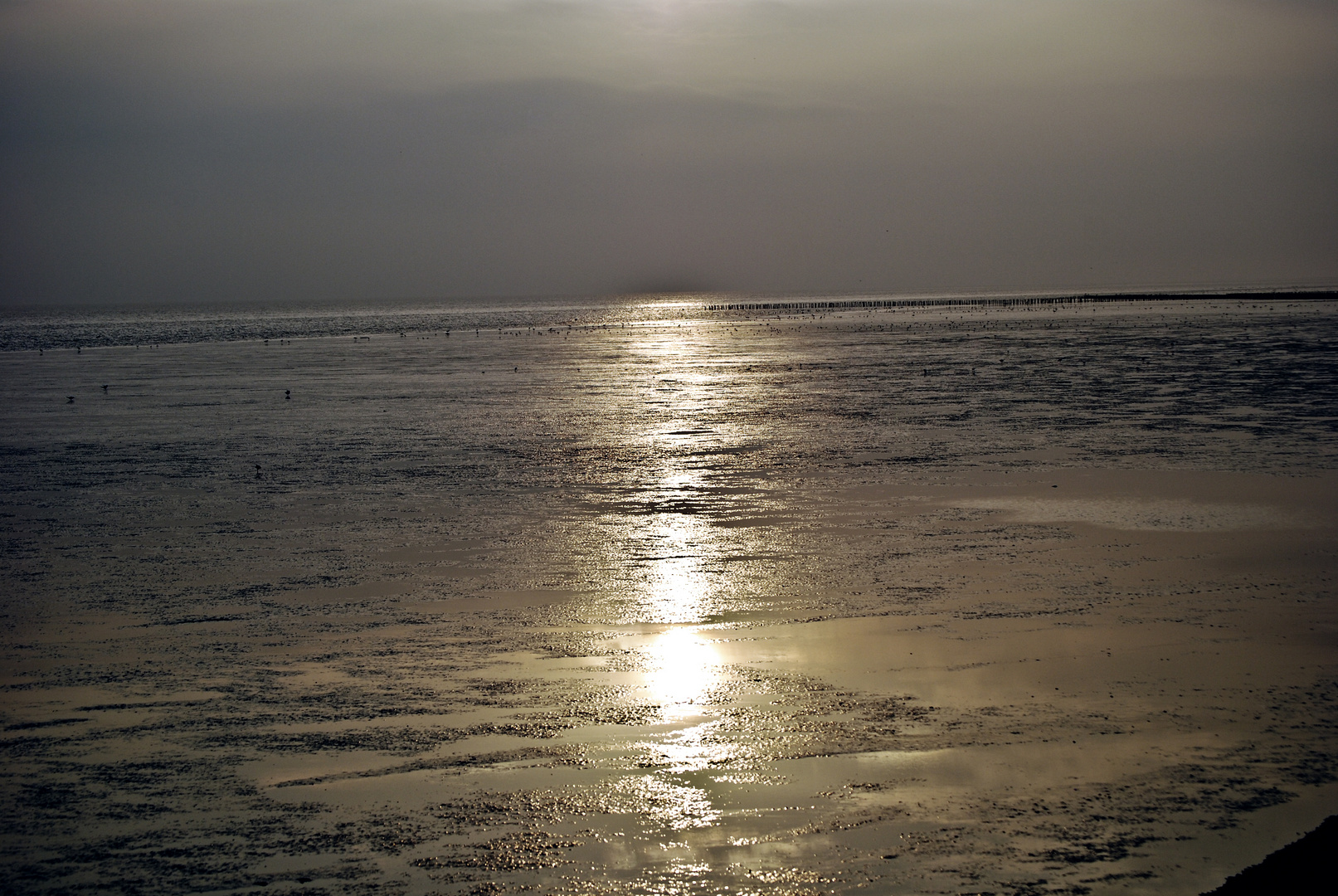 Wattenmeer Holwerd