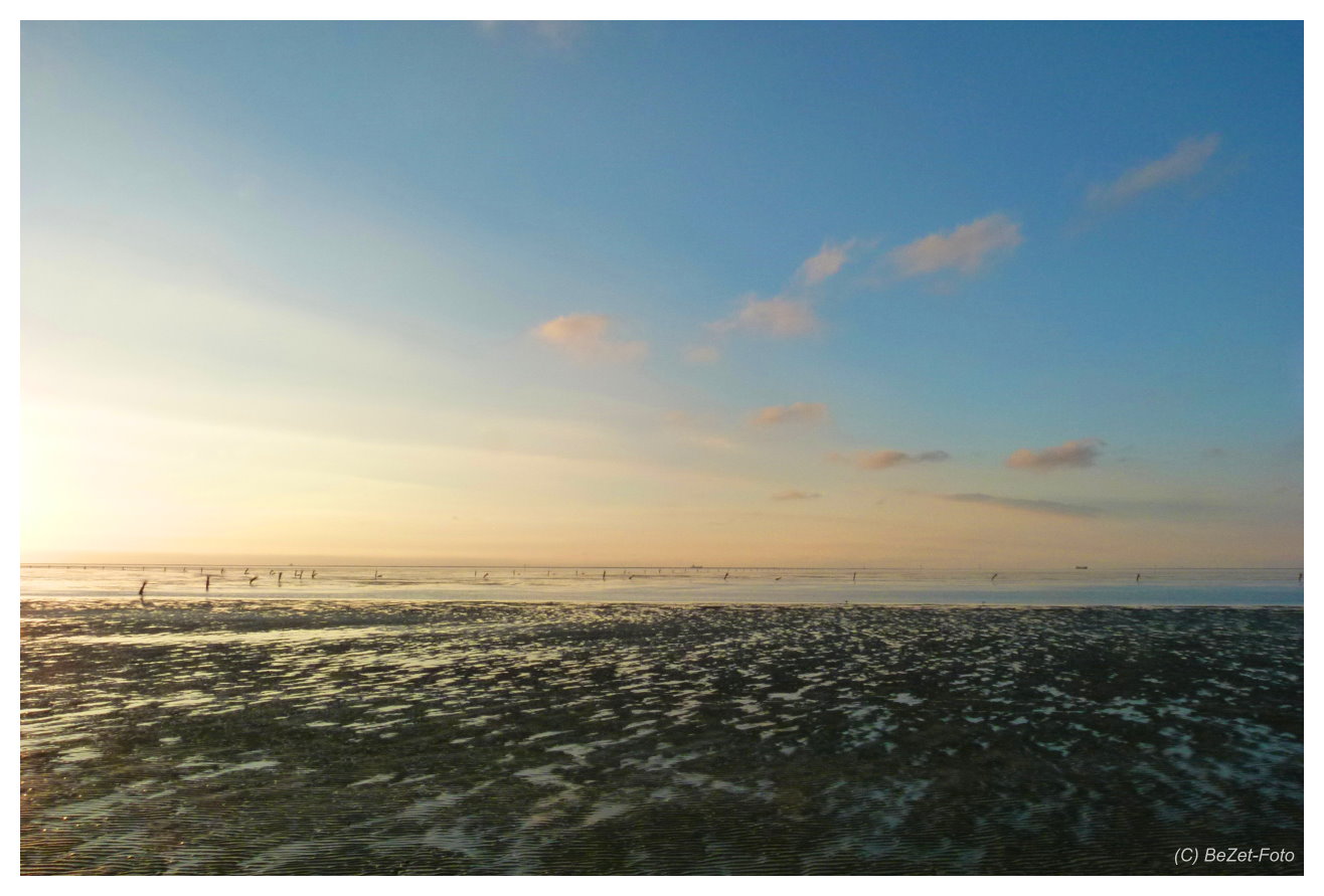 Wattenmeer I