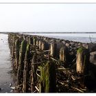 Wattenmeer I