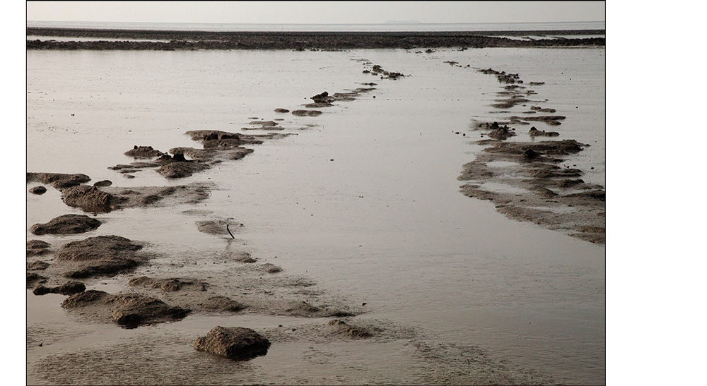 Wattenmeer II