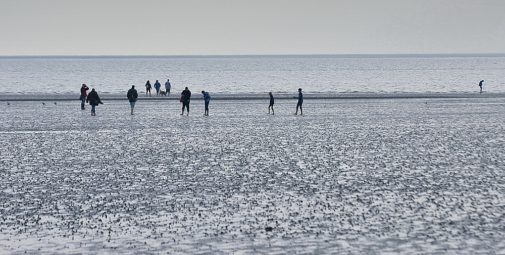 Wattenmeer II