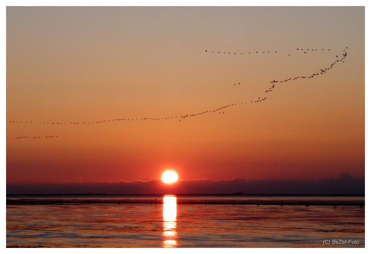 Wattenmeer III