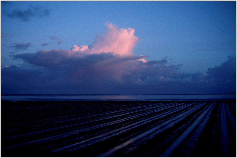 Wattenmeer im Abendlicht