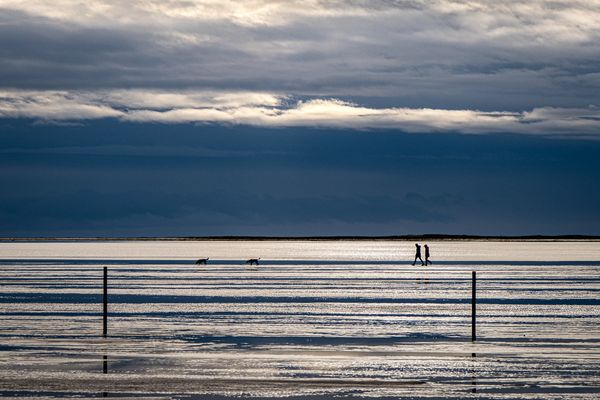 Wattenmeer im Gegenlicht