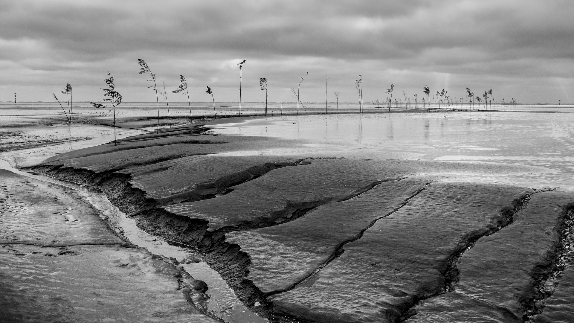 Wattenmeer im Herbst