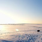 Wattenmeer im Winter