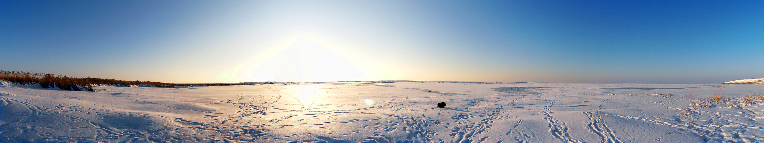 Wattenmeer im Winter