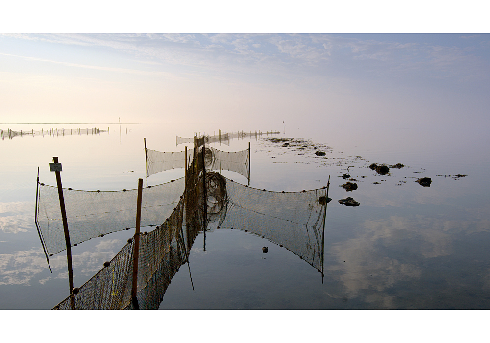 Wattenmeer-Impressionen -1-