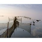 Wattenmeer-Impressionen -1-