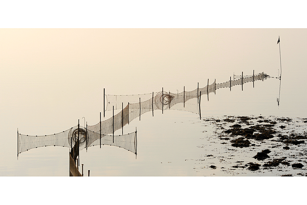 Wattenmeer-Impressionen -2-