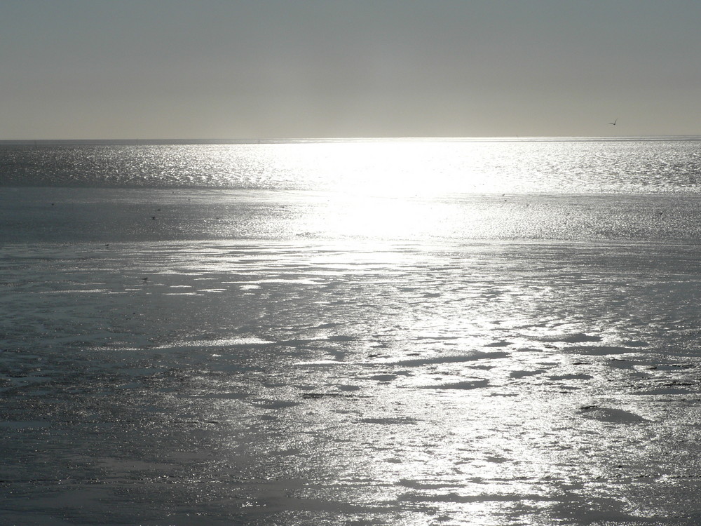 Wattenmeer in Blei