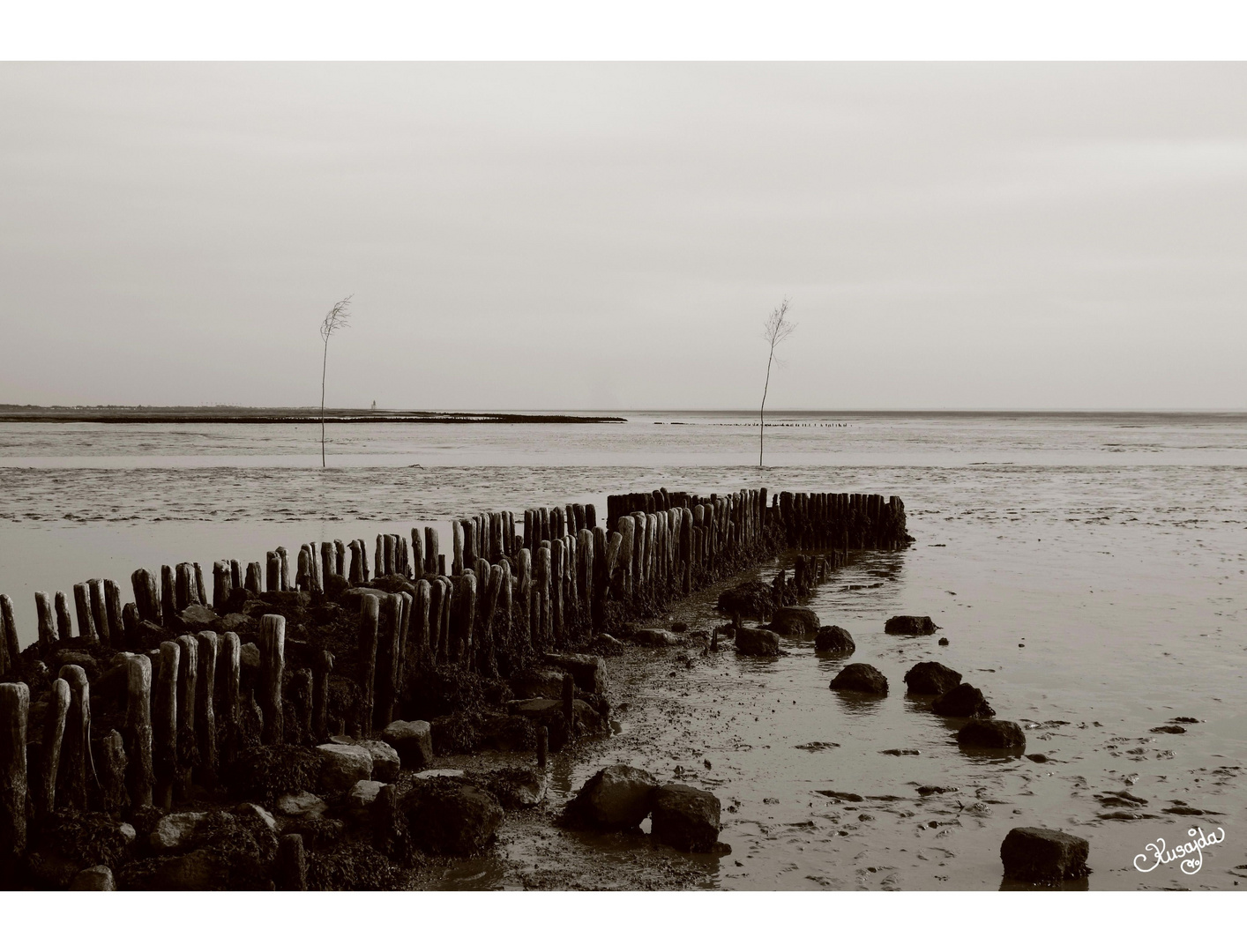 Wattenmeer in Cappel