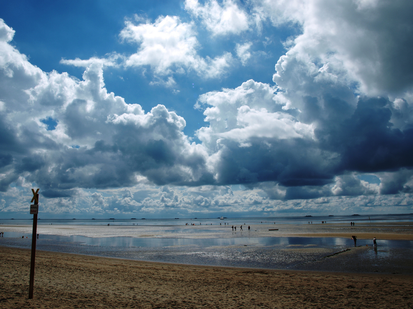 Wattenmeer, Insel Föhr