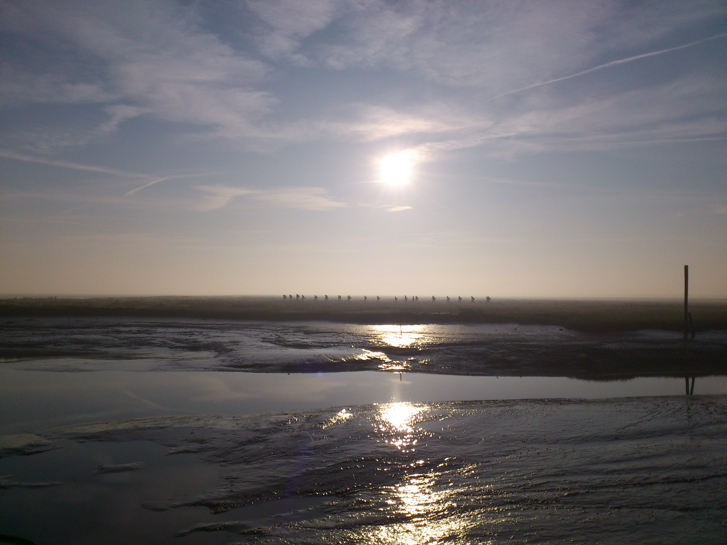 Wattenmeer morgens um 7