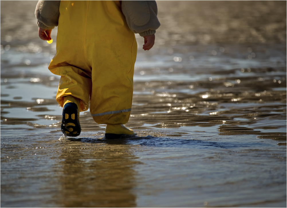 Wattenmeer - Naturschatz für unsere nachfolgenden Generationen