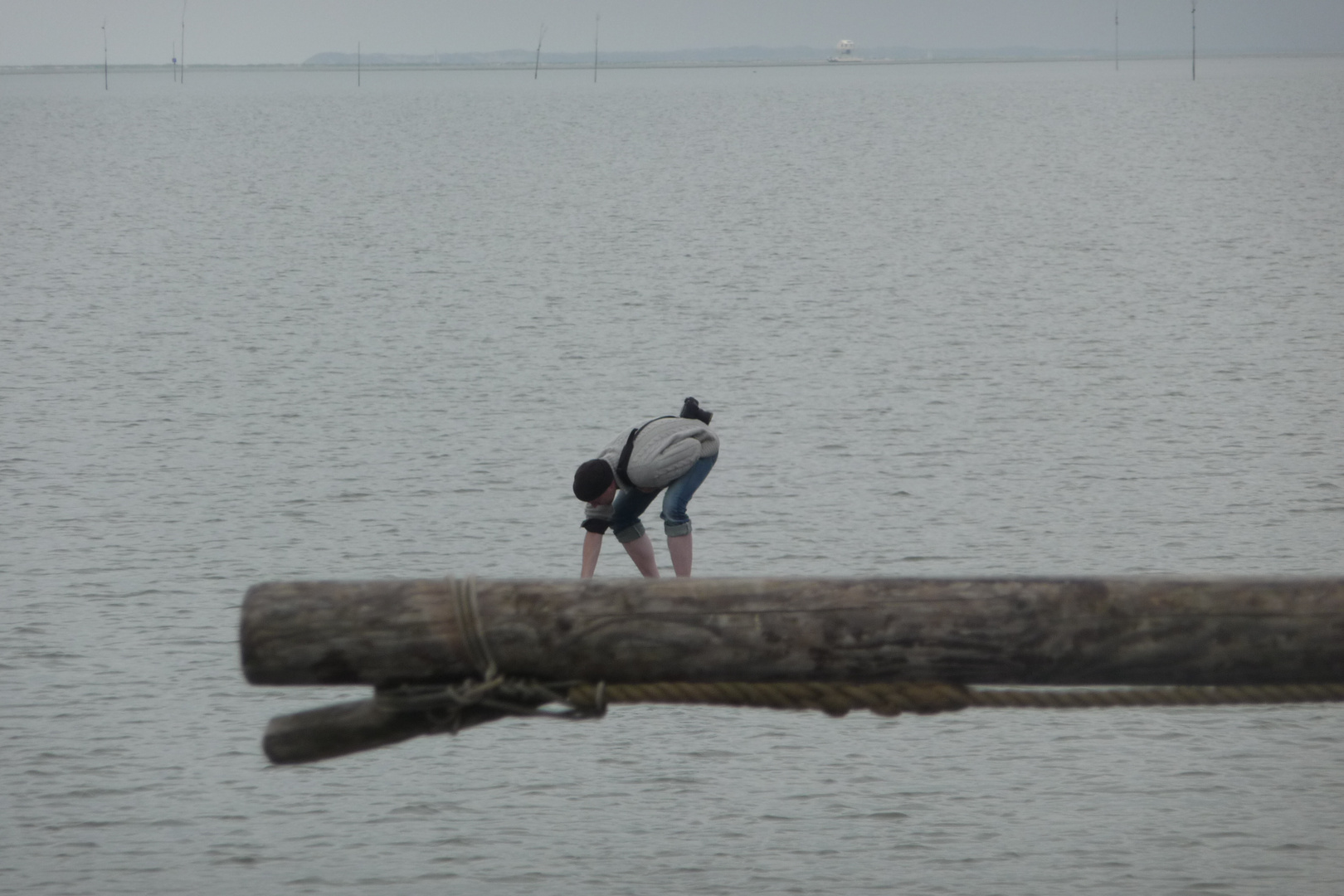 Wattenmeer, NL