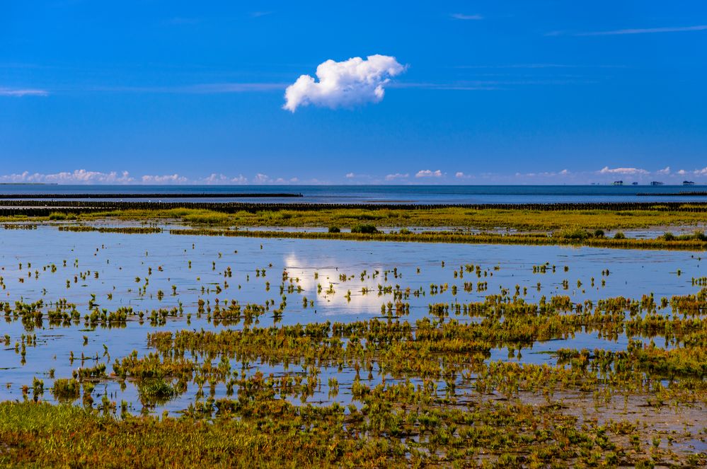 Wattenmeer, Nordfriesland