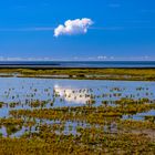 Wattenmeer, Nordfriesland