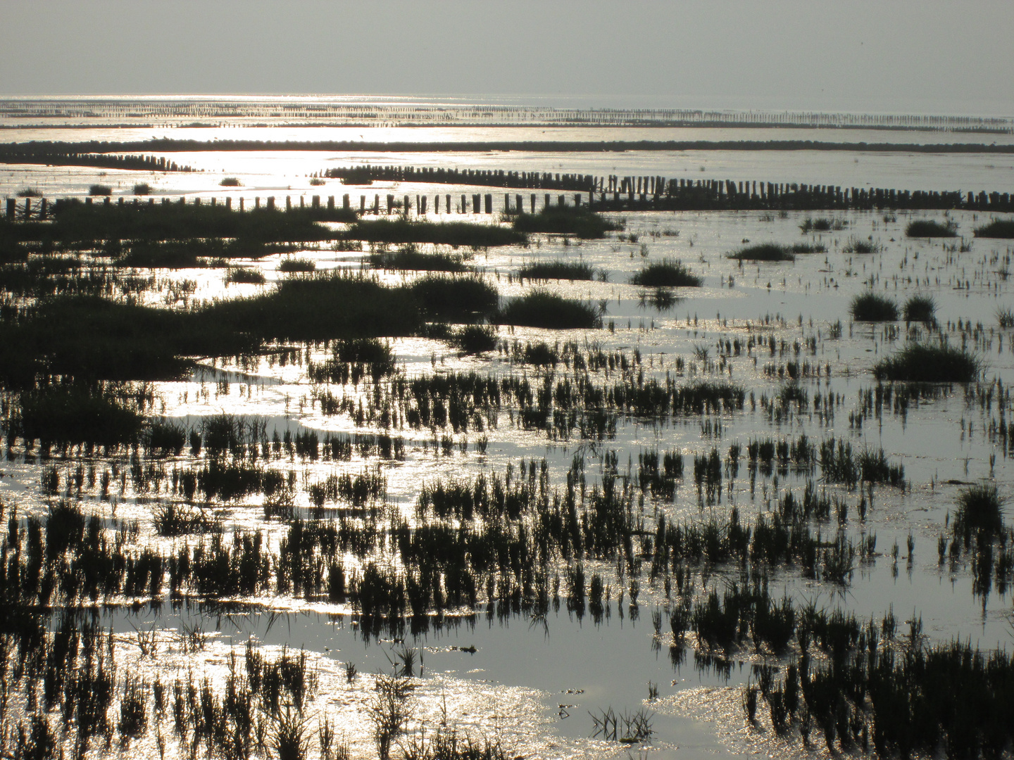 wattenmeer nordsee