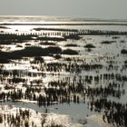 wattenmeer nordsee