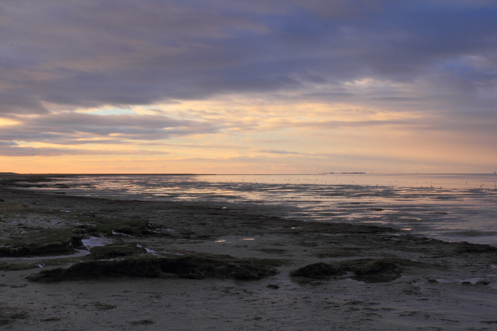 Wattenmeer Ostfriesland