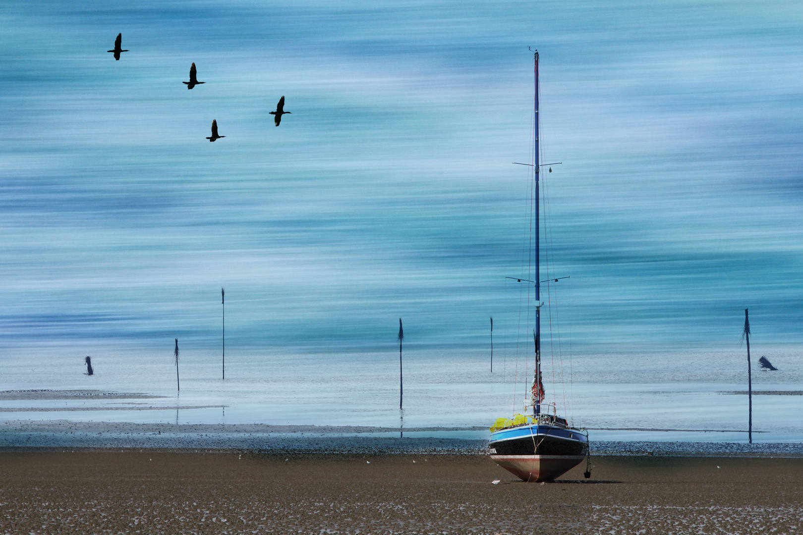 Wattenmeer, Schiff und Seevögel