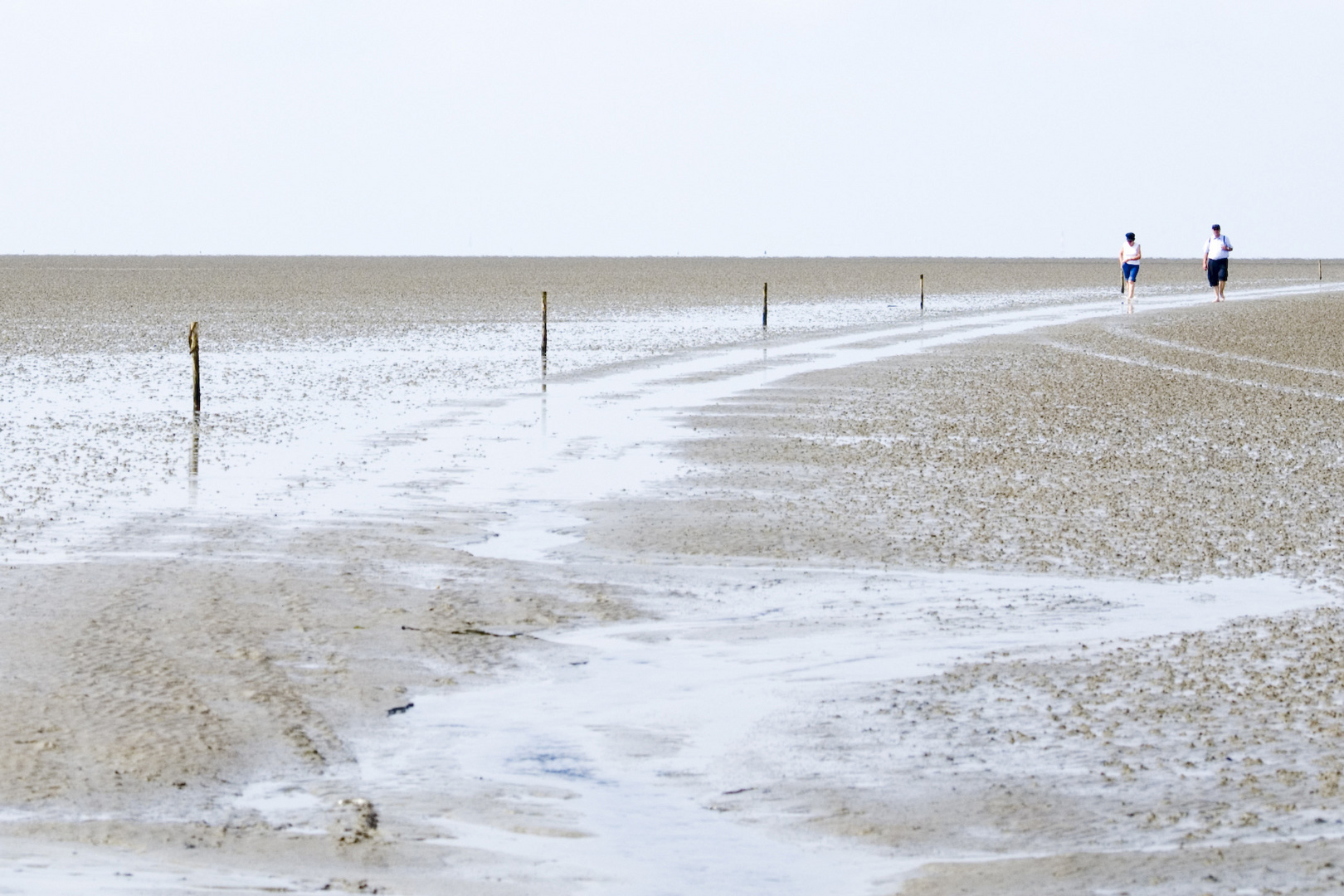 Wattenmeer Schleswig Holstein