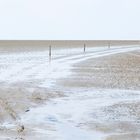 Wattenmeer Schleswig Holstein