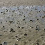 Wattenmeer vor Bensersiel (Ostfriesland)