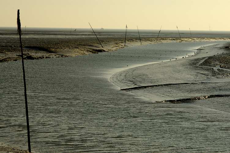 Wattenmeer-Wangerland