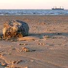 Wattenmeer Weltnaturerbe