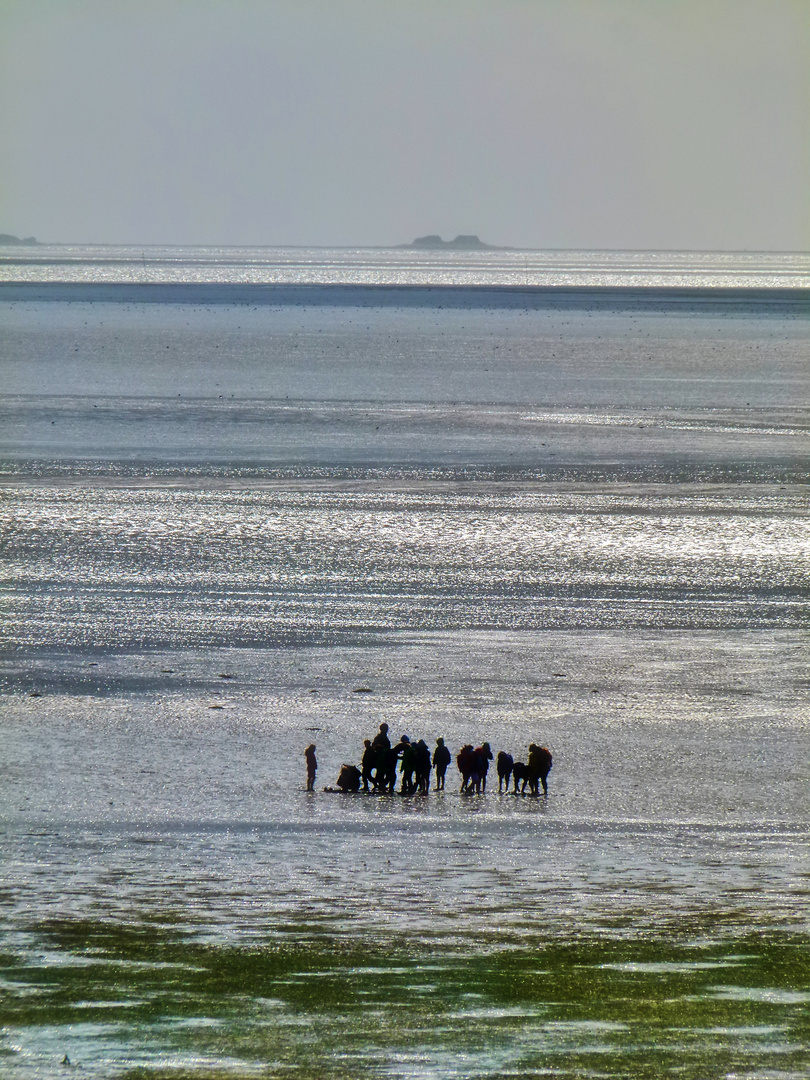 Wattenmeer zwischen Amrum und der Hallig Langeneß