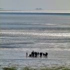 Wattenmeer zwischen Amrum und der Hallig Langeneß