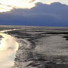 Wattenpriel Bei Büsum im Sommer