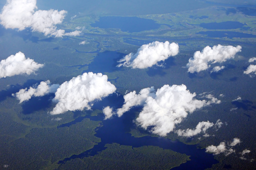 Wattewölkchen über dem Amazonas