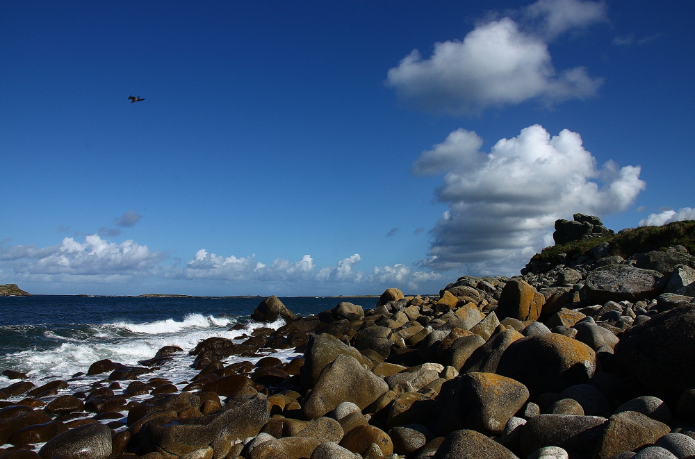 Wattewolken