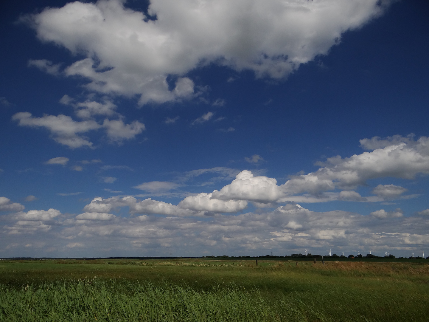 Wattewolken über Spieka Neufeld