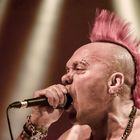 Wattie rules