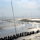 Wattlandschaft an der Nordsee