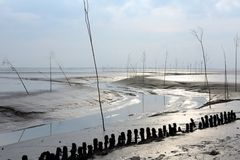 Wattlandschaft an der Nordsee