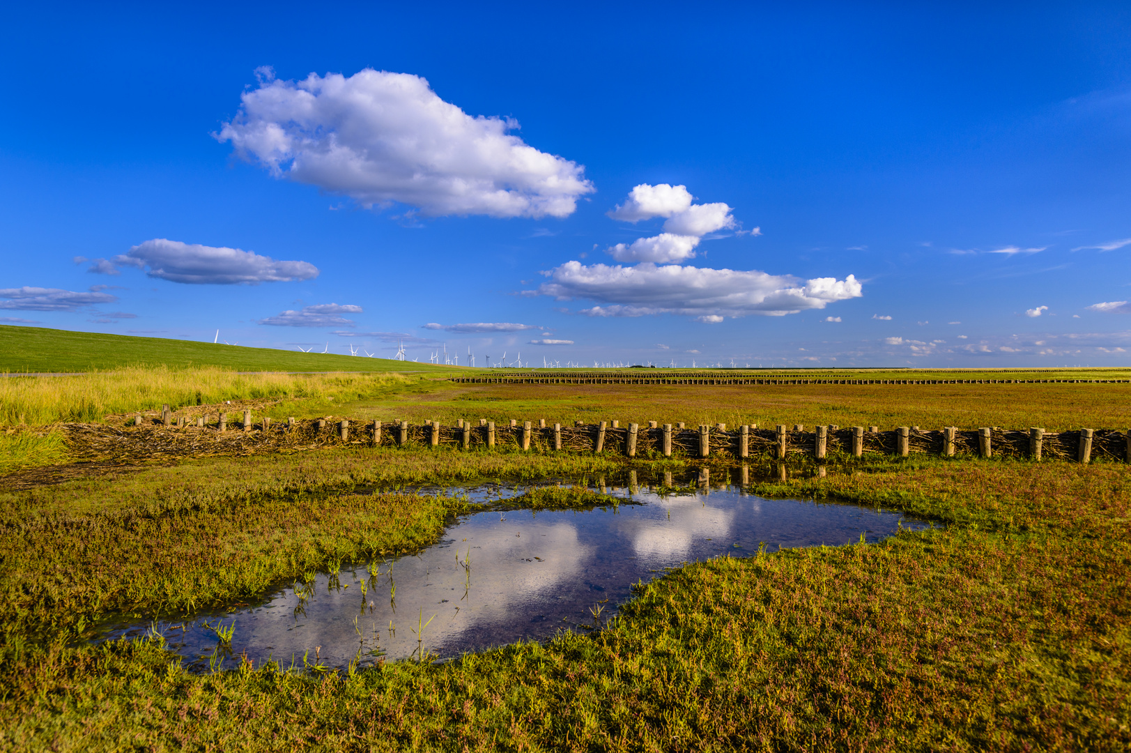 Wattlandschaft, Nordfriesland