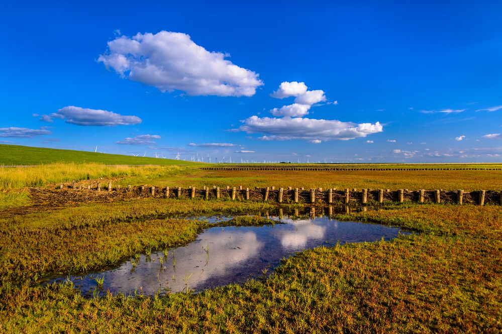 Wattlandschaft, Nordfriesland