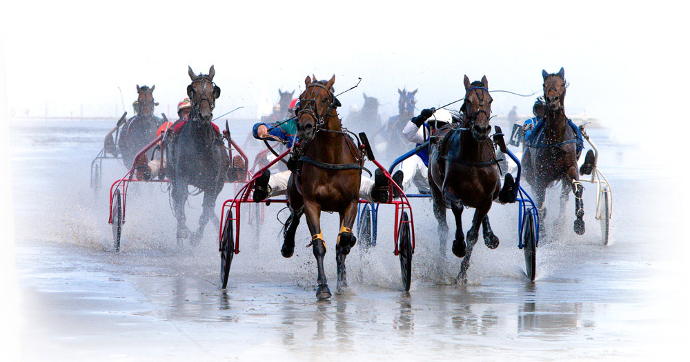 Wattrennen Cuxhaven