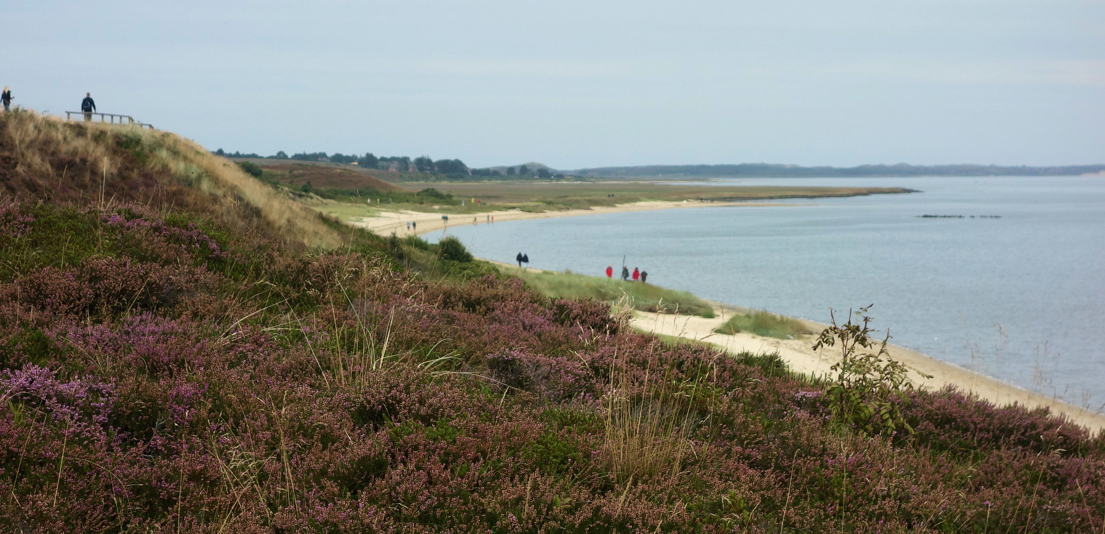 wattseite nahe morsum, sylt