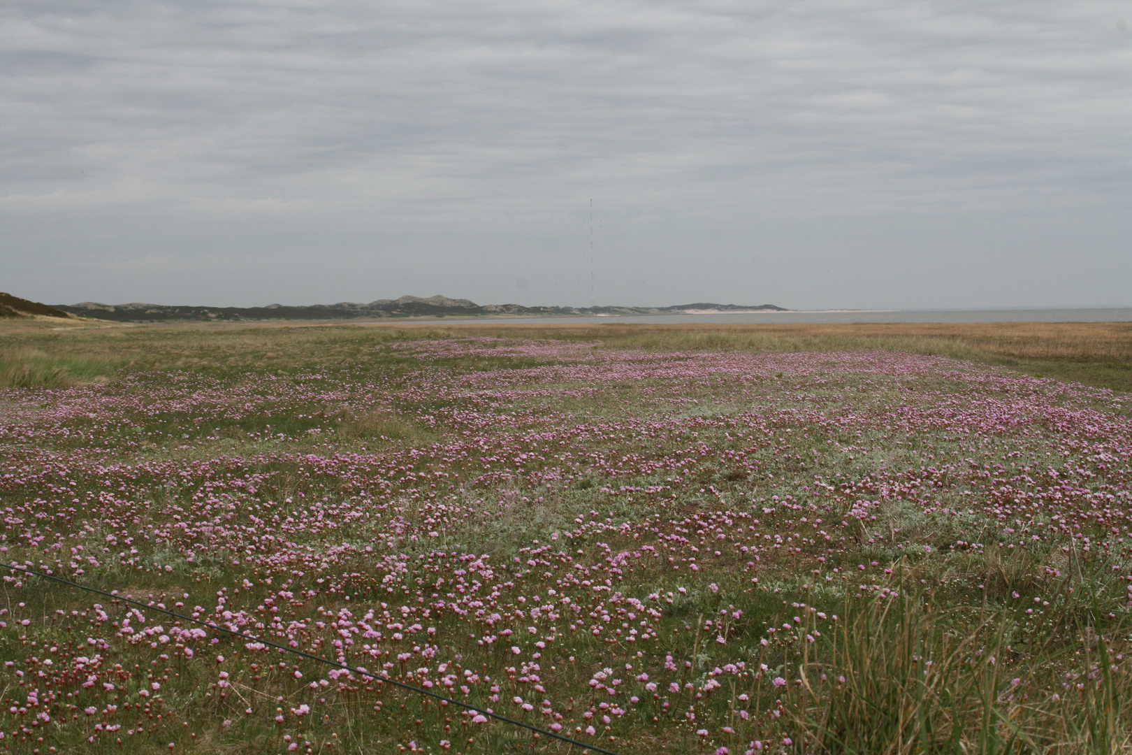 Wattseite Naturschutzgebiet