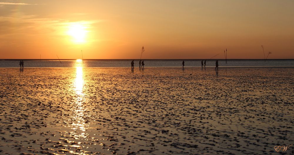 Wattspaziergang bei Sonnenuntergang...