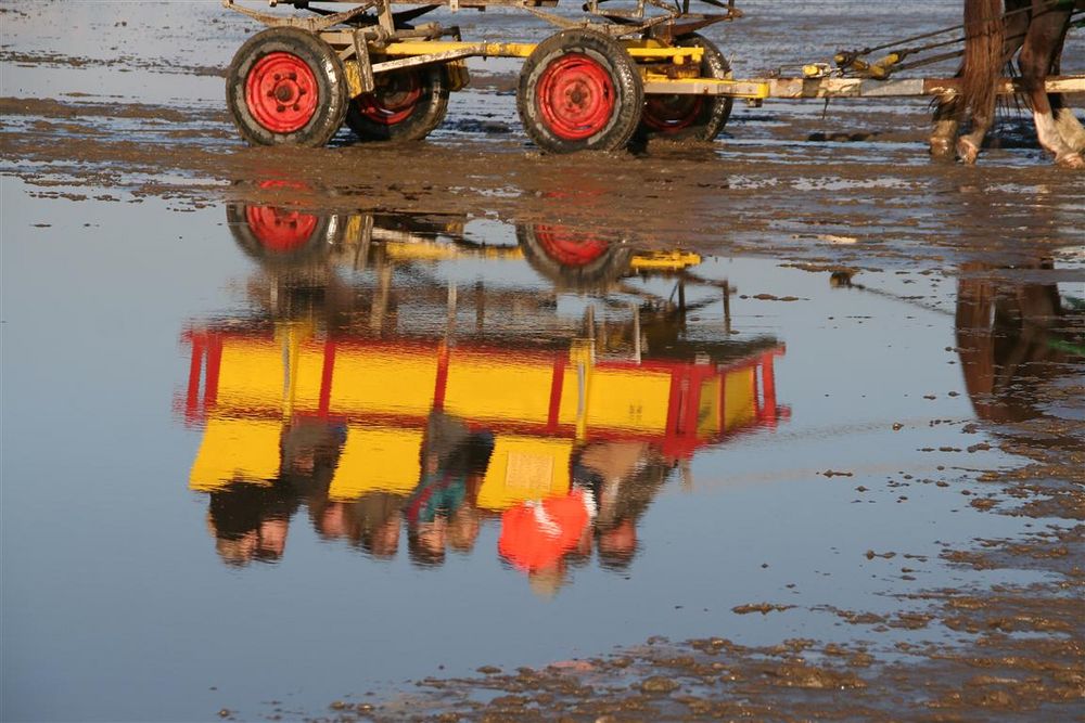 Wattwagen bei Cuxhaven